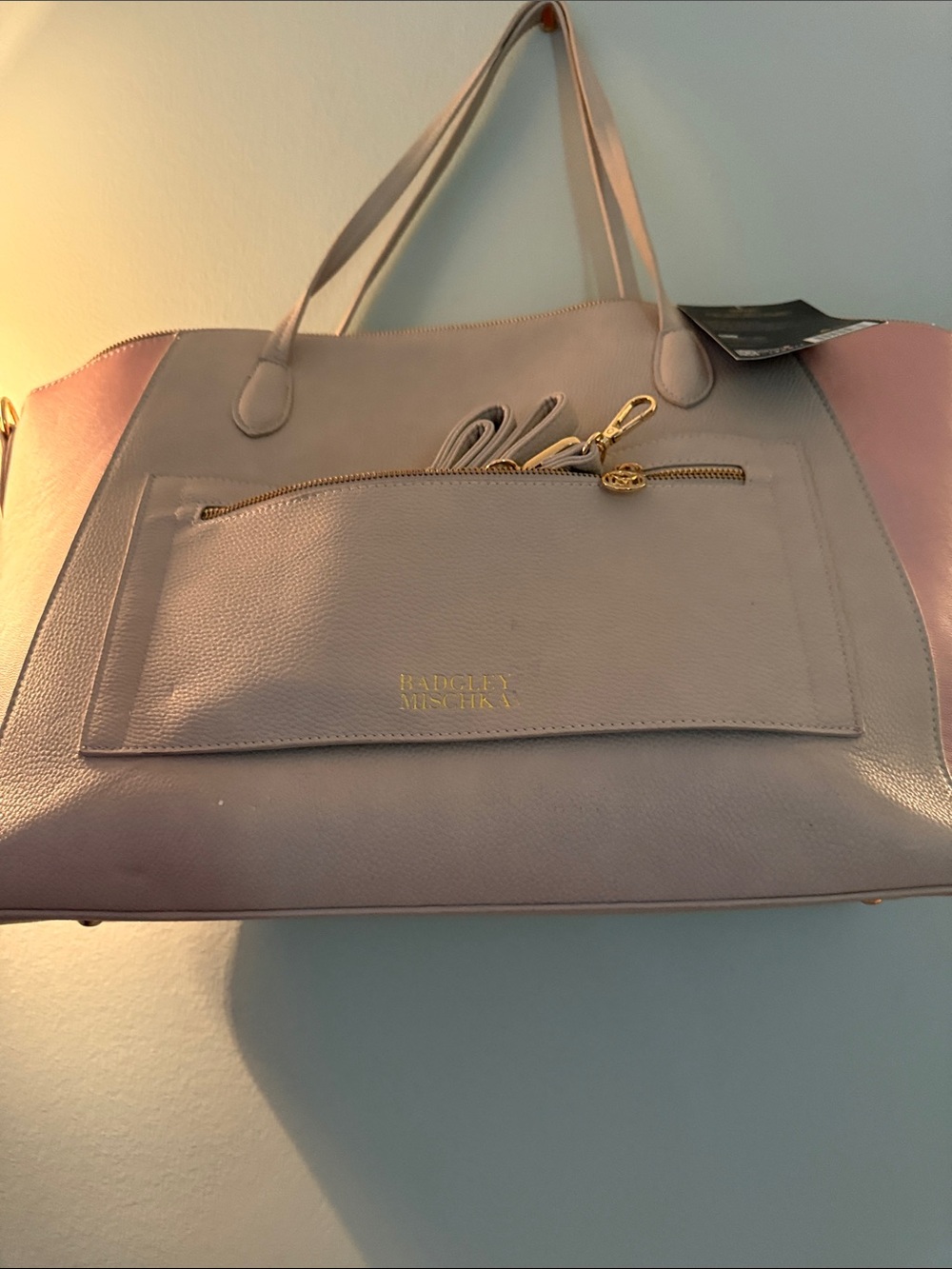 Badgley Mischka Blush Pink Leather Tote with Gold Hardware